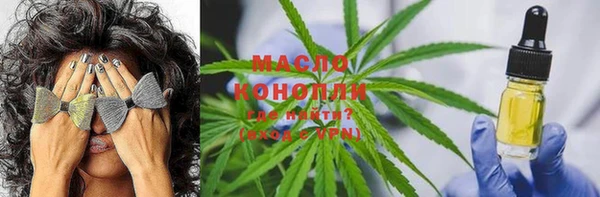 индика Абинск