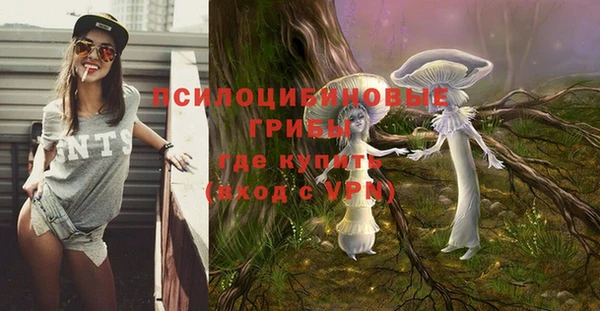 кокс Надым