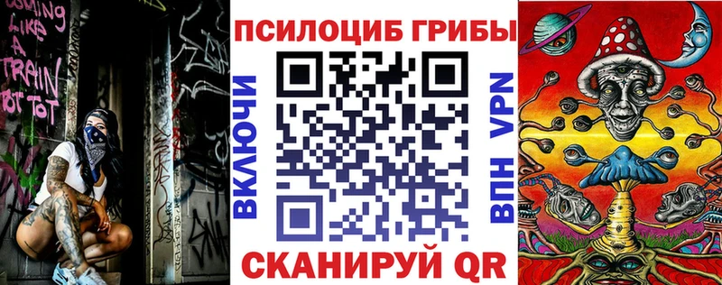 Псилоцибиновые грибы мицелий Гусиноозёрск