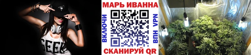 Канабис сатива Гусиноозёрск